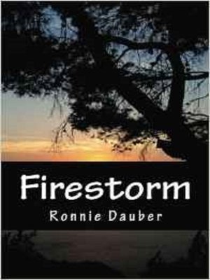 cover image of Firestorm